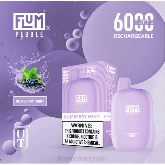 FLUM PEBBLES 6.000 baforadas hortelã de mirtilo 828A17 | FLUM PEBBLE VAPE FLAVORS