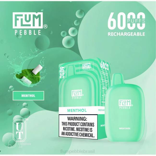 FLUM PEBBLES 6.000 baforadas mentol 828A57 | FLUM PEBBLE VAPE FLAVORS