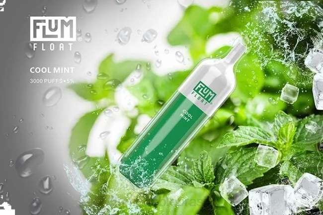 FLUM FLOAT 3.000 baforadas menta refrescante 828A25 | FLUM PEBBLE NEAR ME